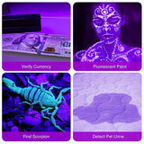 UV Handheld Waterproof Blacklight Flashlights 12 Led 395Nm Mini Light Torch Detector for Pets Urine Stains Black Light UV Lamp