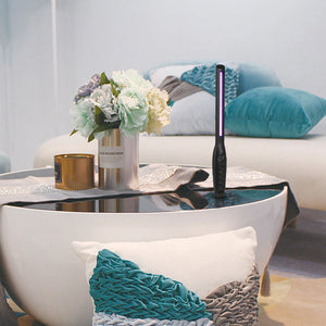 Compact Home UV Sanitizing Light for Dust Mites
