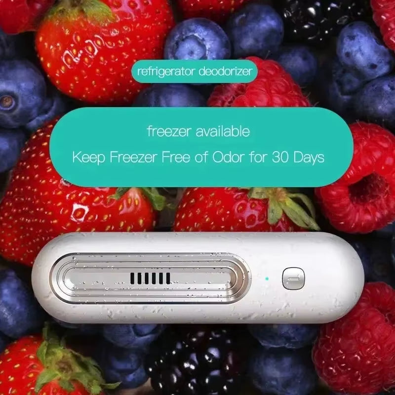 Refrigerator Deodorizer Air Purifier Refrigerator Deodorizer Food Shelf Life Extender Remove Odor Smoke Pet Toilet Car ﻿