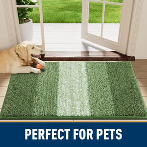 Non-Slip Low-Pile Entrance Mat Indoor Door Mat Washable Indoor Mats Front Door Entry Absorbent Resist Dirt Entryway Rugs
